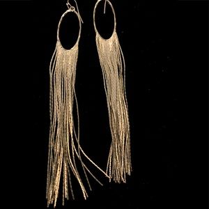 Silver tassel earrings